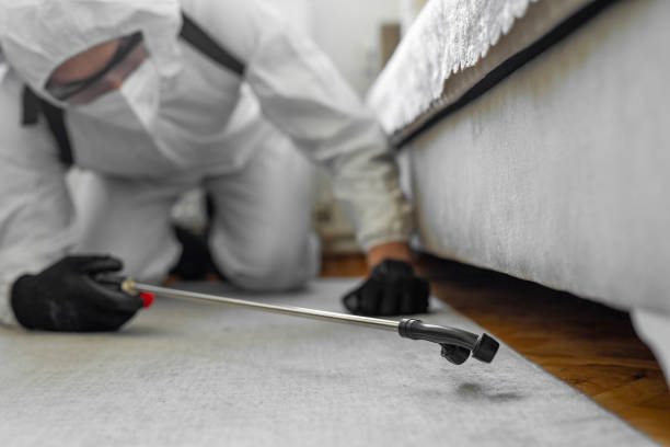 Professional Termite Control technician working in West Haven-Sylvan, OR