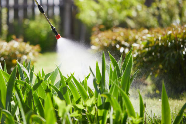 24/7 Emergency Termite Control experts in West Haven-Sylvan, OR