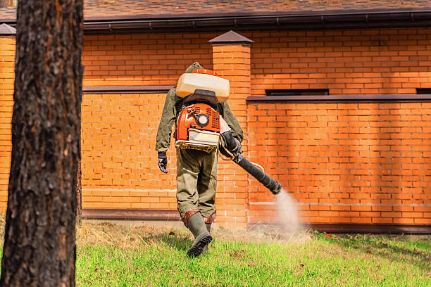 Trusted Cockroach Control service in West Haven-Sylvan, OR - Nex Pest Control